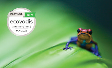 EcoVadis Platinum sustainability rating badge beside a colourful frog on a leaf