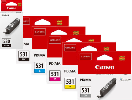 Canon PGI-530 Black and CLI-531 Black Cyan Magenta Yellow Grey Ink Cartridge Bundle Pack