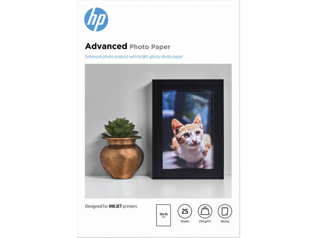 HP Advanced Photo Paper Glossy 250 g/m2 10 x 15 cm (4 x 6in) 25 Sheets - Q8691A
